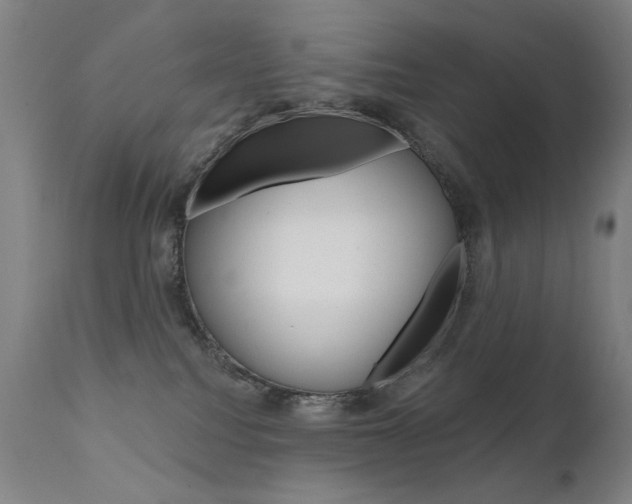 X0000111610088200907171050