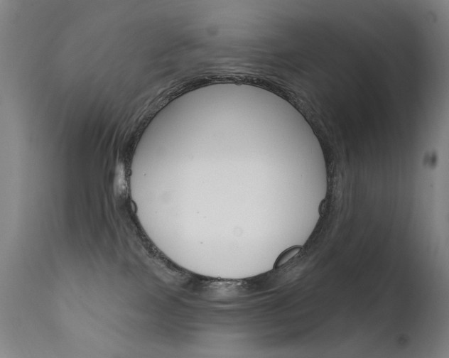 X0000111610089200907171050