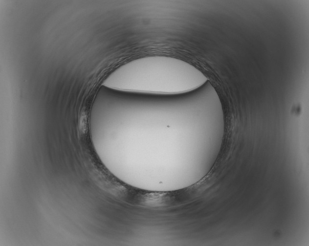 X0000111610090200907171050