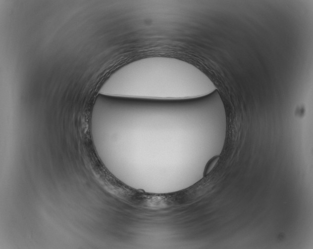X0000111610091200907171050