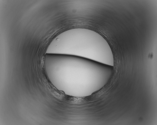 X0000111610093200907171050
