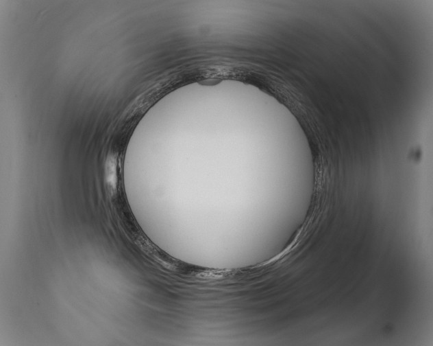 X0000111610094200907171050