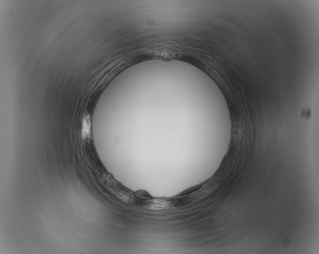 X0000111610095200907171050