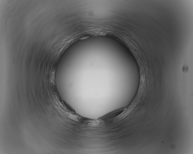 X0000111610096200907171050