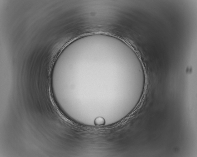 X0000111610097200907171049