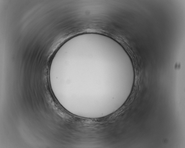 X0000111610098200907171049