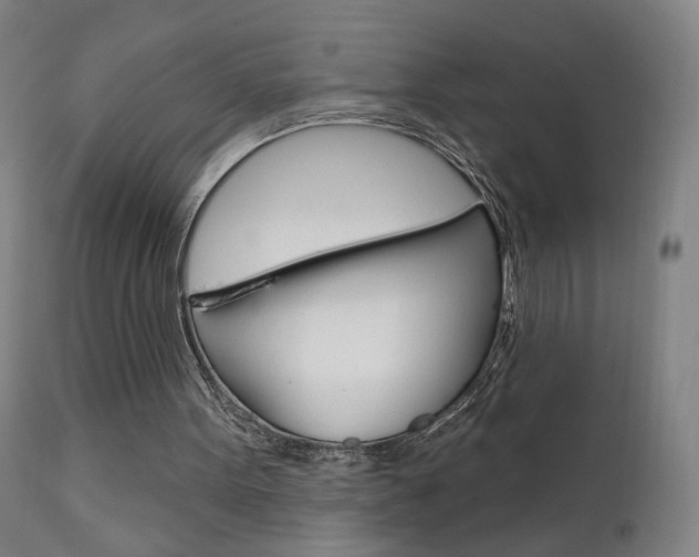 X0000111610099200907171049