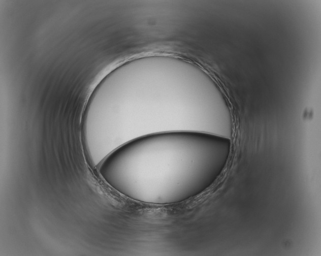 X0000111610100200907171049
