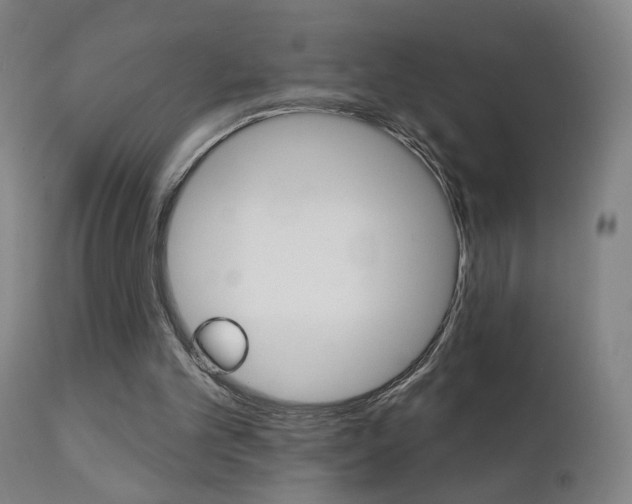 X0000111610101200907171049