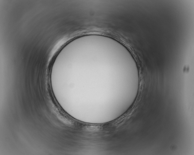 X0000111610102200907171049