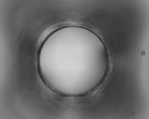 X0000111610103200907171049