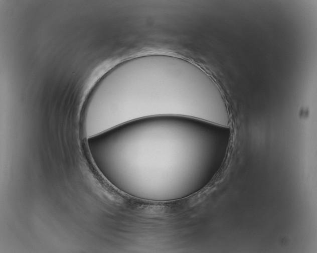 X0000111610104200907171049