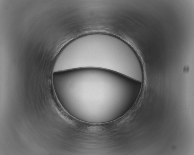 X0000111610105200907171049