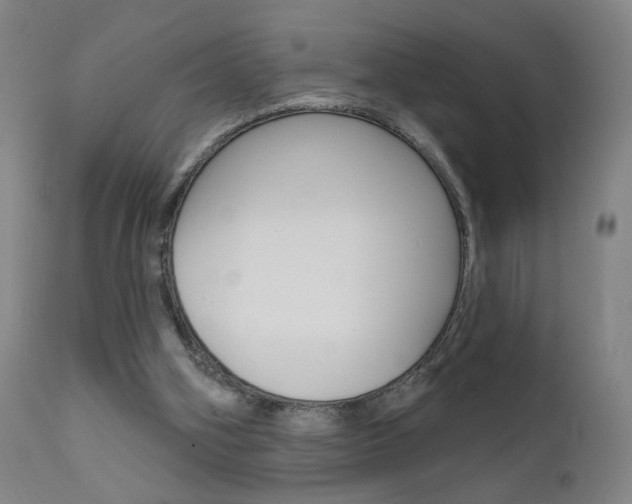 X0000111610106200907171049