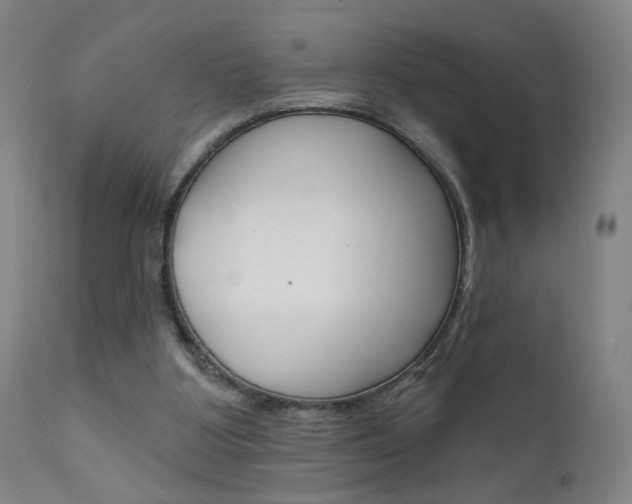 X0000111610107200907171049