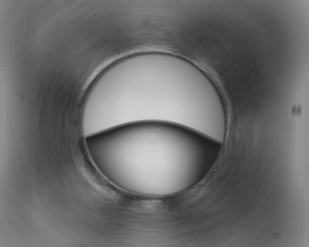 X0000111610108200907171049