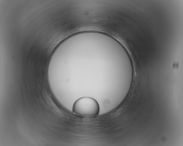 X0000111610109200907171049