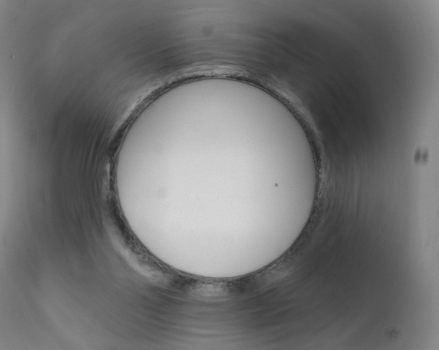 X0000111610110200907171049