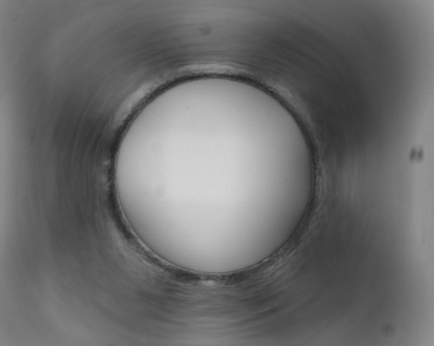 X0000111610111200907171049