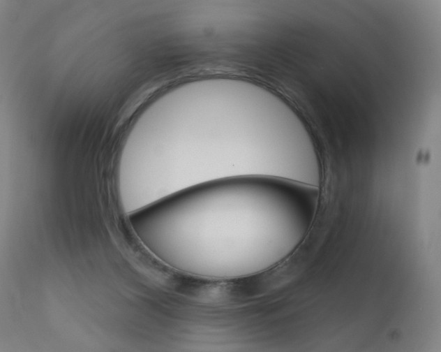 X0000111610116200907171049