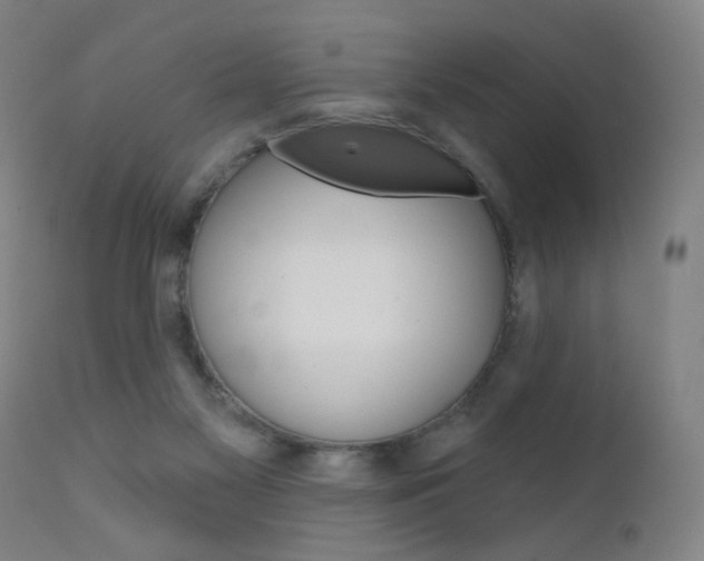 X0000111610117200907171049