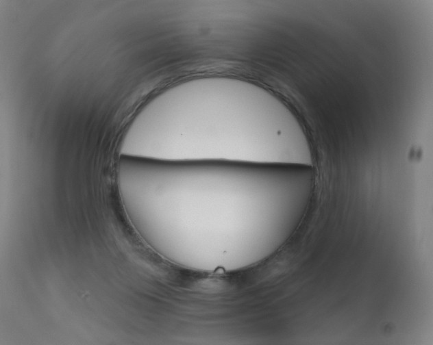 X0000111610119200907171049