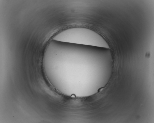 X0000111610120200907171049