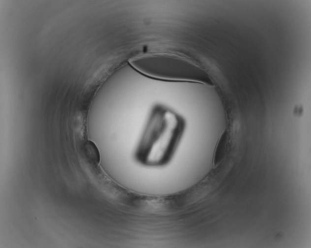 X0000111610121200907171049