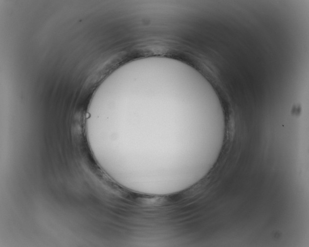 X0000111610122200907171049