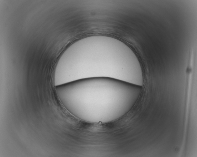X0000111610123200907171049