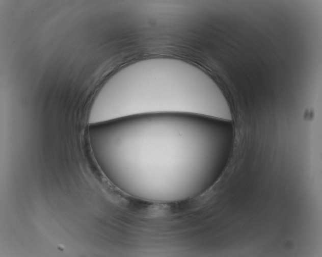 X0000111610124200907171049