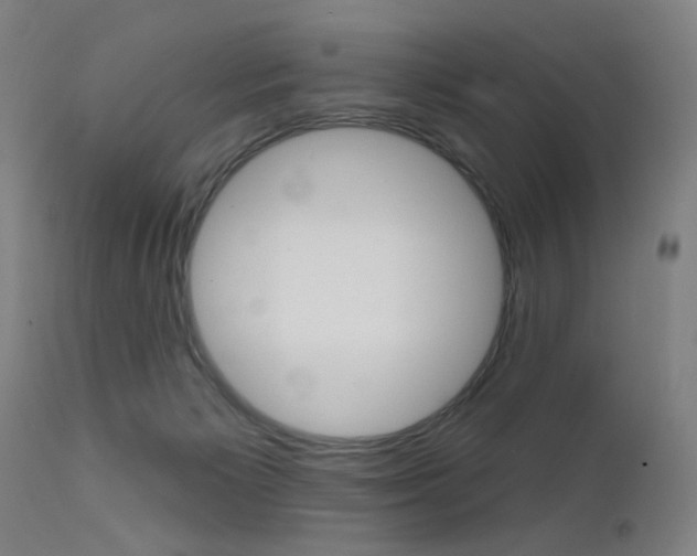 X0000111610125200907171049