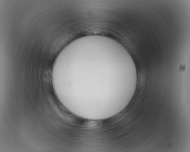 X0000111610126200907171049