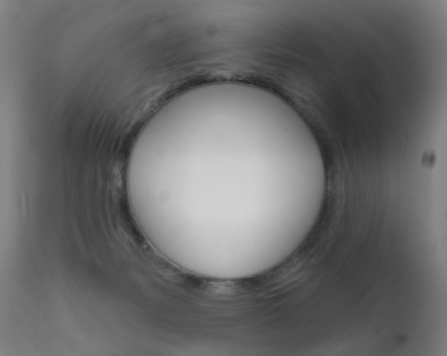X0000111610127200907171049