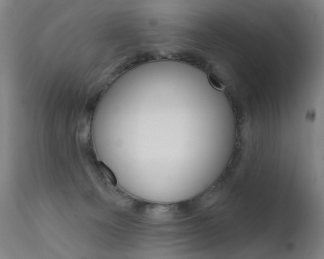 X0000111610129200907171049