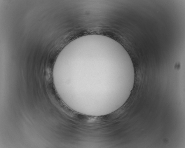 X0000111610130200907171049