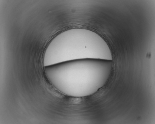 X0000111610131200907171049