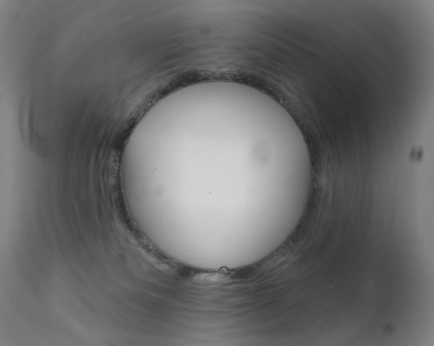 X0000111610133200907171049