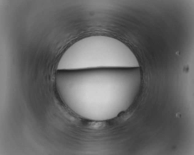 X0000111610135200907171049
