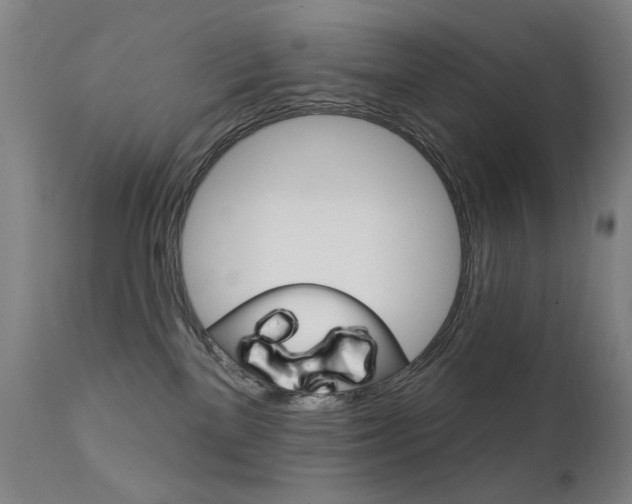 X0000111610137200907171049