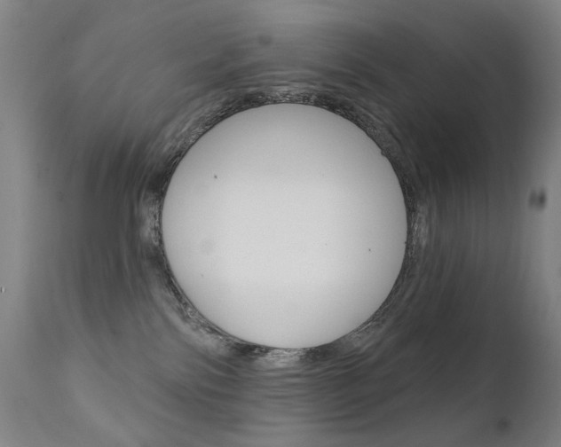 X0000111610138200907171049