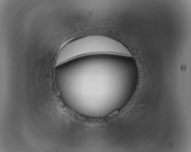 X0000111610144200907171048