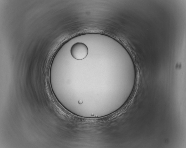X0000111610145200907171048