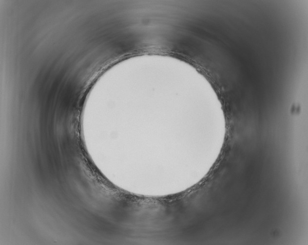 X0000111610146200907171048