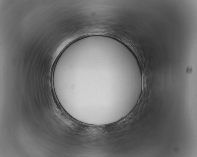 X0000111610147200907171048