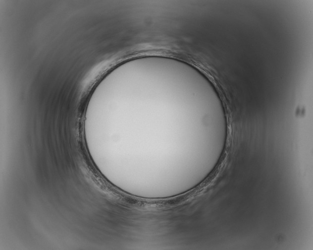 X0000111610149200907171048