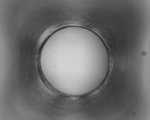 X0000111610151200907171048