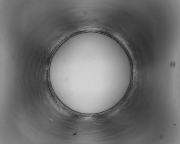 X0000111610153200907171048
