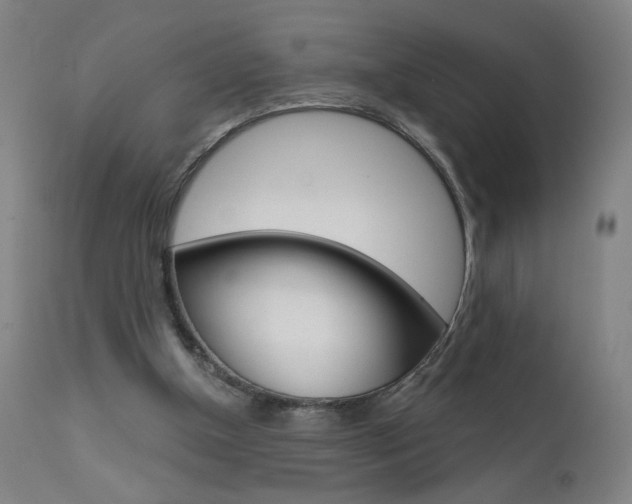 X0000111610154200907171048