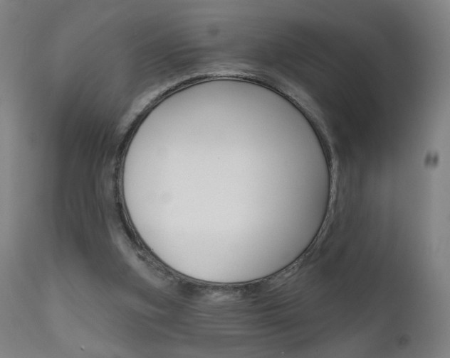 X0000111610155200907171048